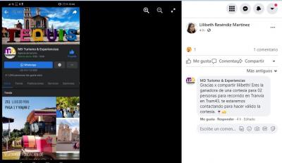 1ER GANADORA CORTESIAS: RECORIDO EN TRANVIA EN TRAM43